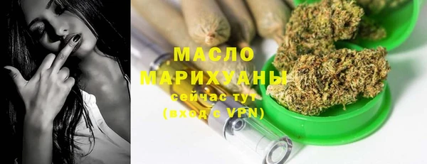 индика Беломорск