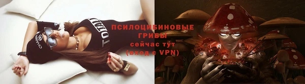 индика Беломорск