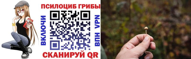 Галлюциногенные грибы ЛСД  наркота  МЕГА ССЫЛКА  Заволжск 