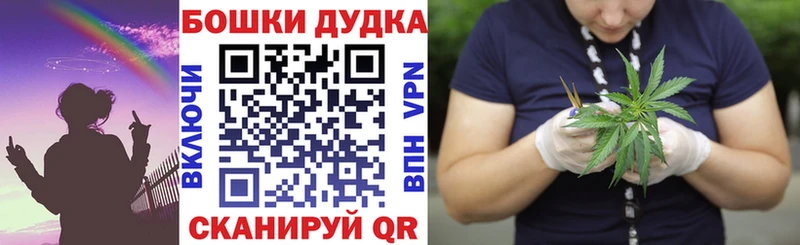 Шишки марихуана конопля  Заволжск 